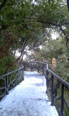 真的下雪了