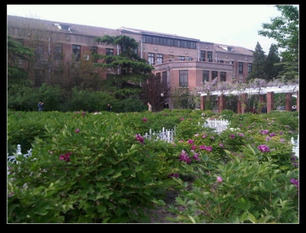 IMG01049-20120429-1718.jpg