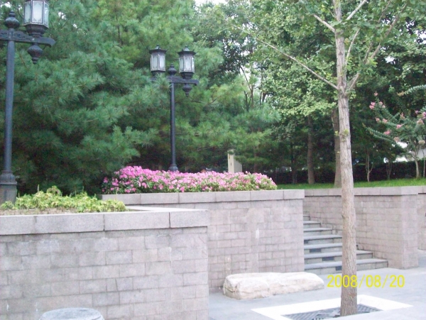 100_2922.JPG