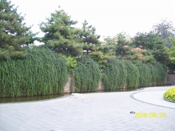 100_2923.JPG