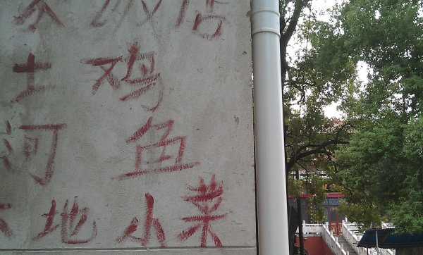 倒是这罗汉寺边上小饭馆的广告颇受我们同行的物议，不知端坐大雄宝殿的佛陀会作何感想？ ...