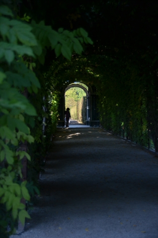 DSC_0036.jpg