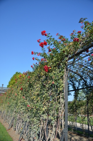 DSC_0044.jpg