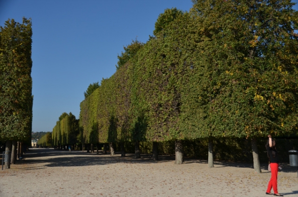 DSC_0048.jpg
