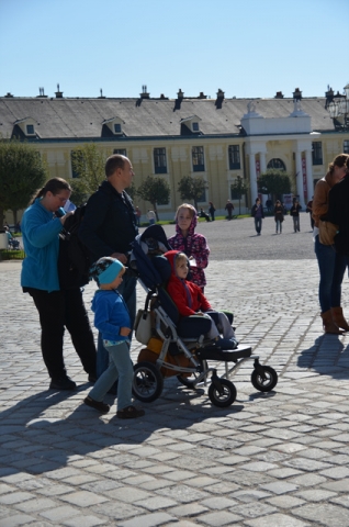 DSC_0113.jpg