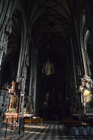 DSC_0223.jpg