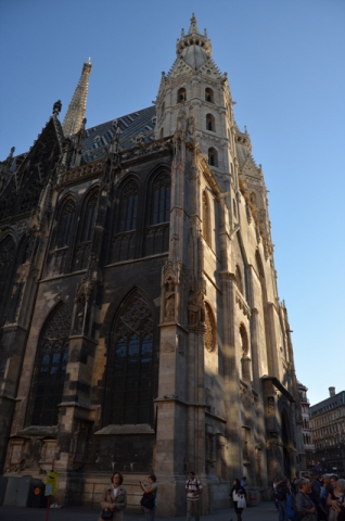 DSC_0234.jpg