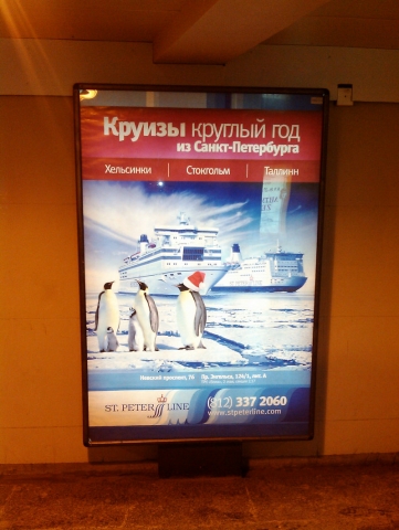 nEO_IMG_IMG_20121209_143339.jpg