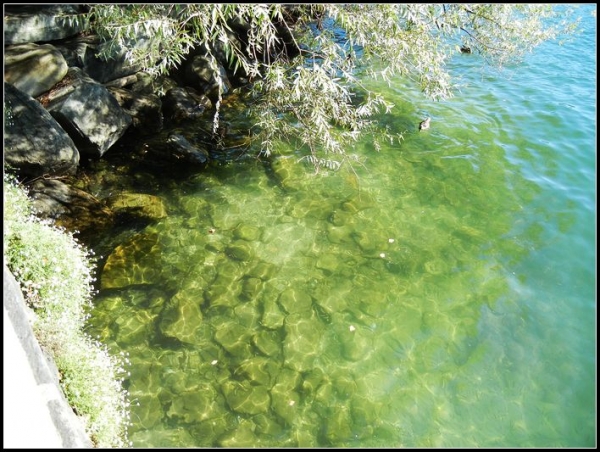 DSCN1879.jpg