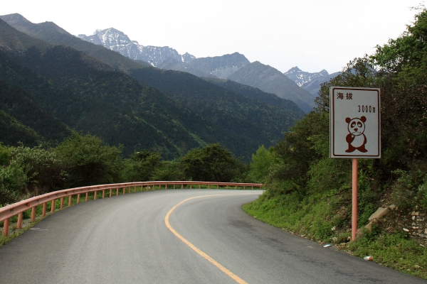 _MG_3254.jpg