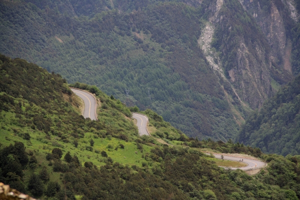 _MG_3287.jpg