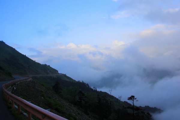 _MG_3391.jpg