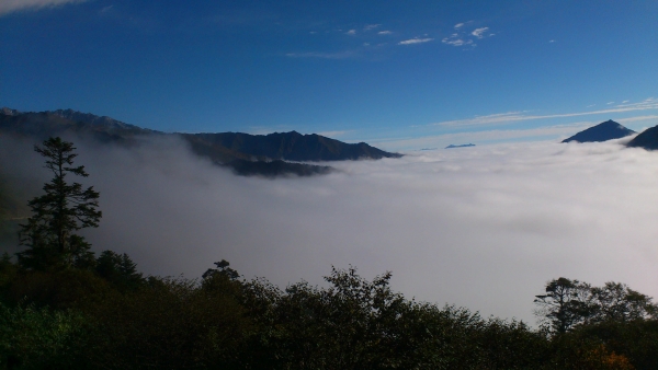 DSC_1193.jpg