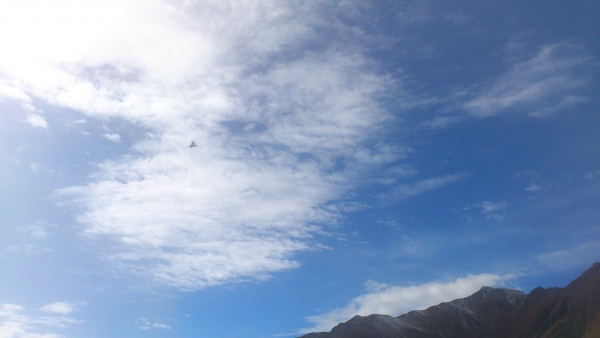 DSC_1237.jpg