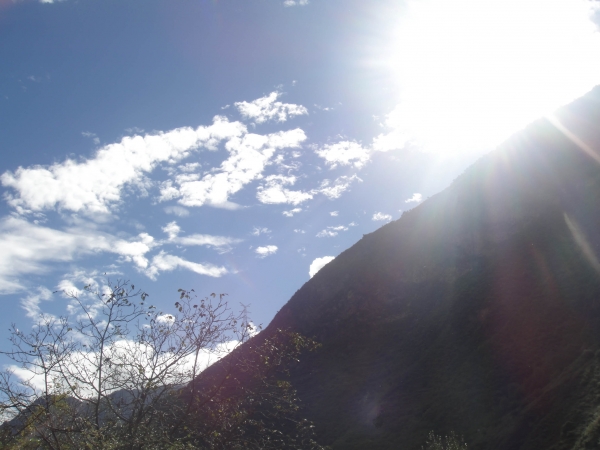DSC01113.jpg