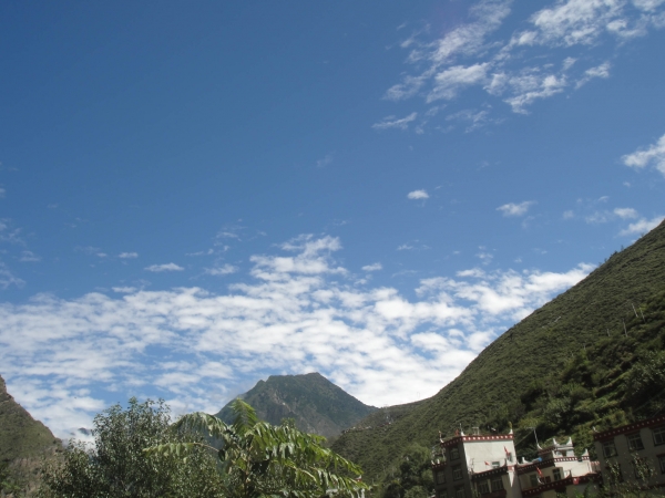 DSC01135.jpg
