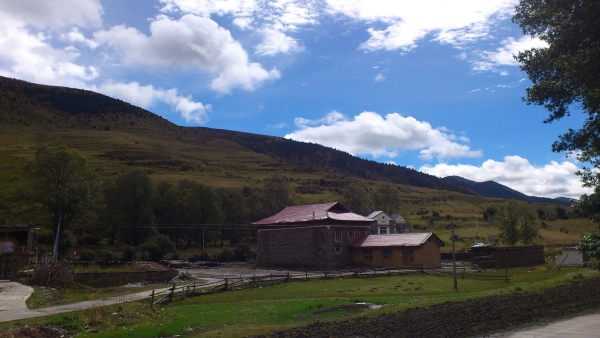 DSC_1371.jpg