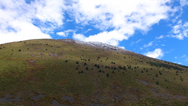 DSC_1501.jpg