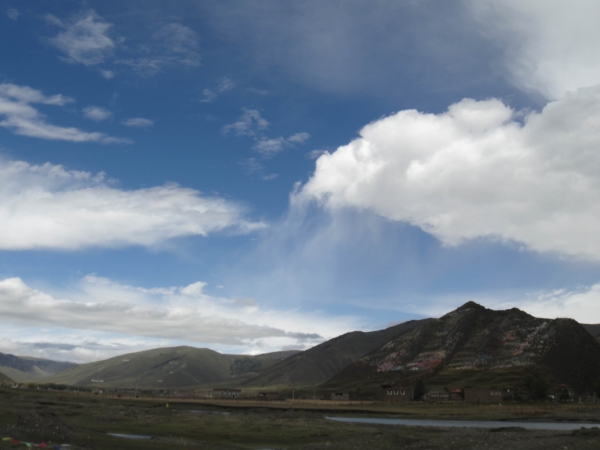 DSC01319.jpg