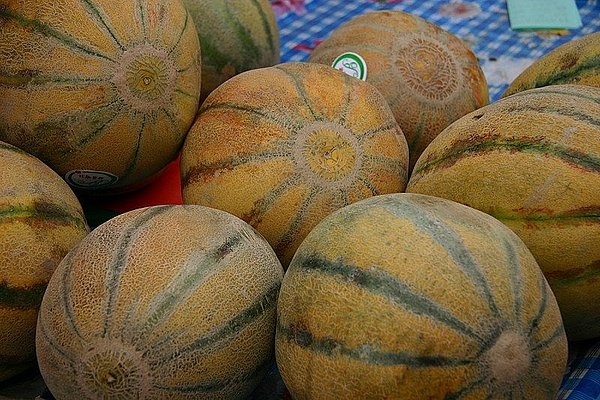 老汉瓜