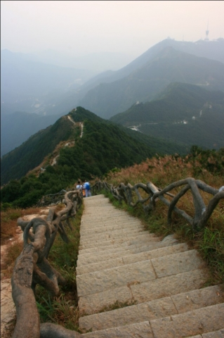 大梧桐的下山路.jpg