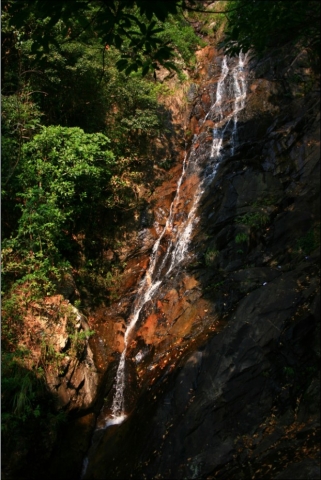 泰山涧.jpg