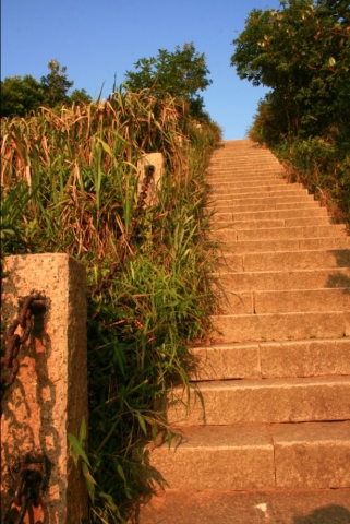 顺光的爬山路.jpg