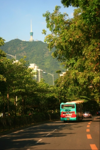 莲塘.jpg
